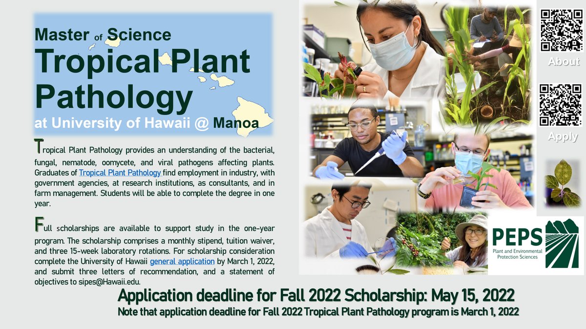 Full scholarships are available to support the One-Year Master Program in Tropical Plant Pathology at the University of Hawaii Manoa. Application Due date: March 01, 2022.