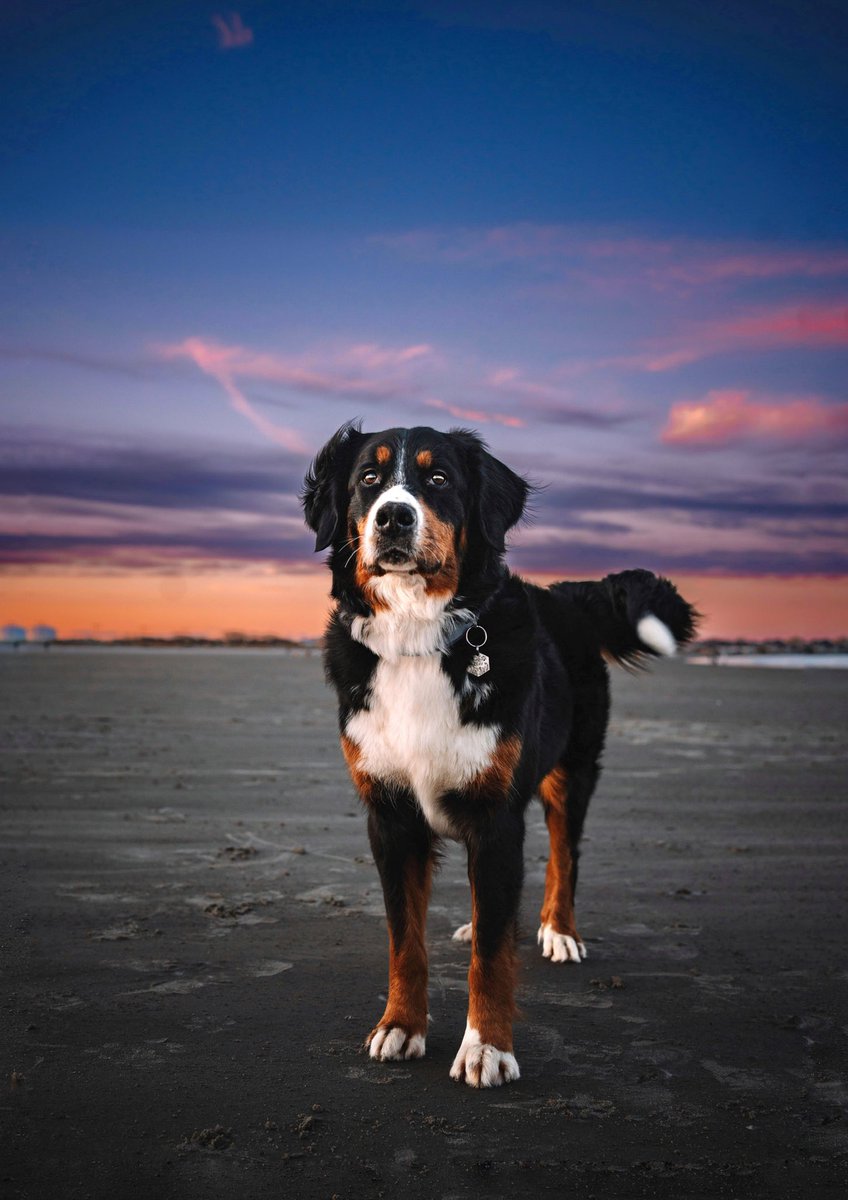 Opie Remy & Melo tweet media