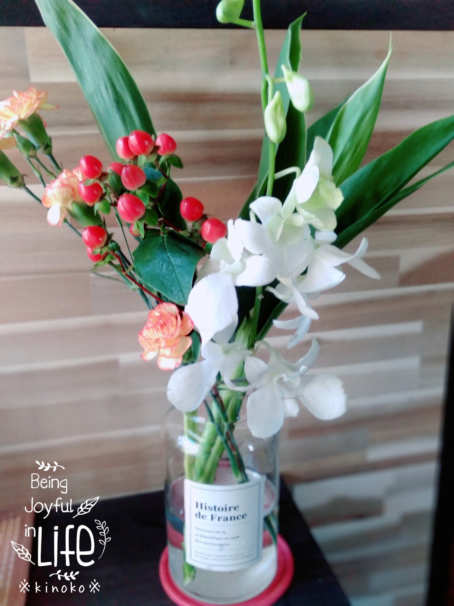 きのこ Kinokonoko Diet Twitter