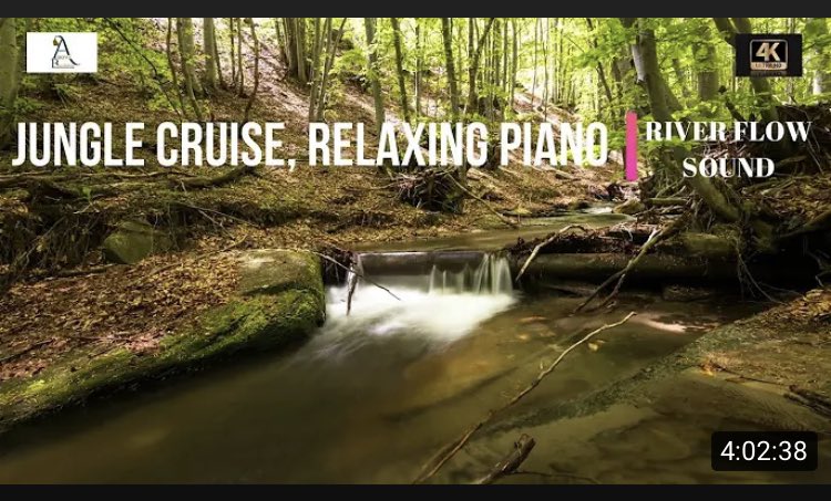 A very calm and peaceful jungle sound for relaxing 😌 
Click to watch the full video here 👉🏽 youtu.be/ET9qEn2_Sqc