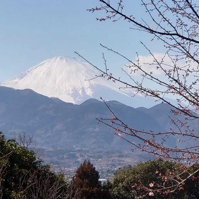 満開になったら良い撮影スポットなんだろな。よく晴れてたので宝栄火口もくっきり見えた。 