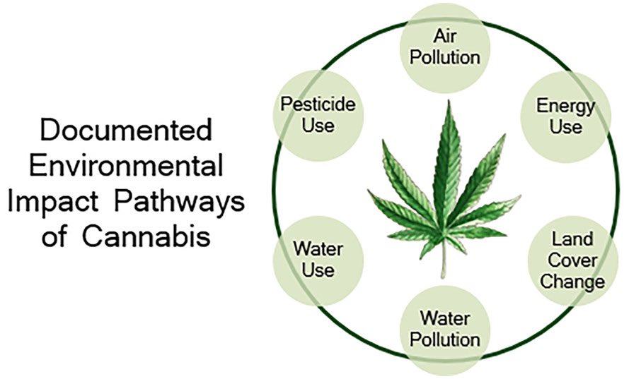 Timobay_'s tweet photo. Hey @arianicw! Just read your paper on Cannabis and the environment. I was wondering which of the 6 impact pathways presented needs to be addressed most urgently? 
#ENVIR400 
https://t.co/qQocj6jfUT https://t.co/XvTiwhSOSN