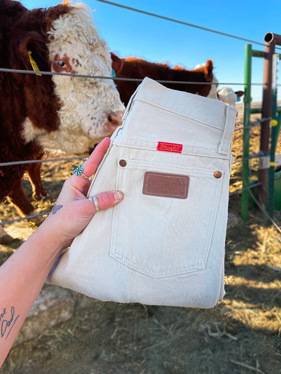 BuckskinBabes's tweet photo. tanned hide 🐂 https://t.co/sJrGDlwV8c