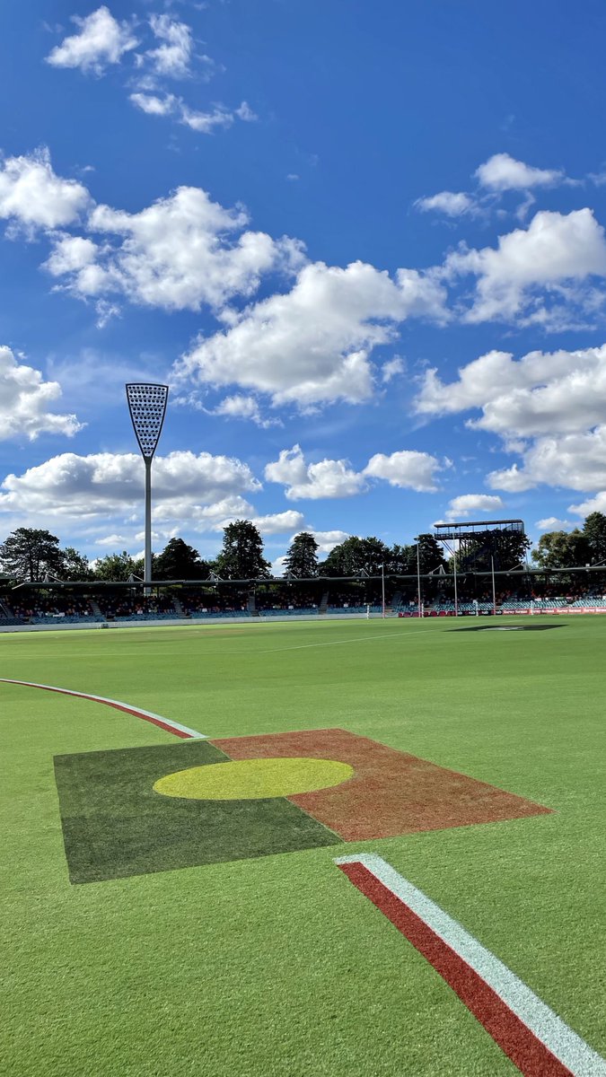 Freed 🖤💛❤️