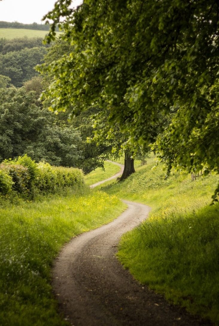 Eternal Bliss 💚💚💚💚