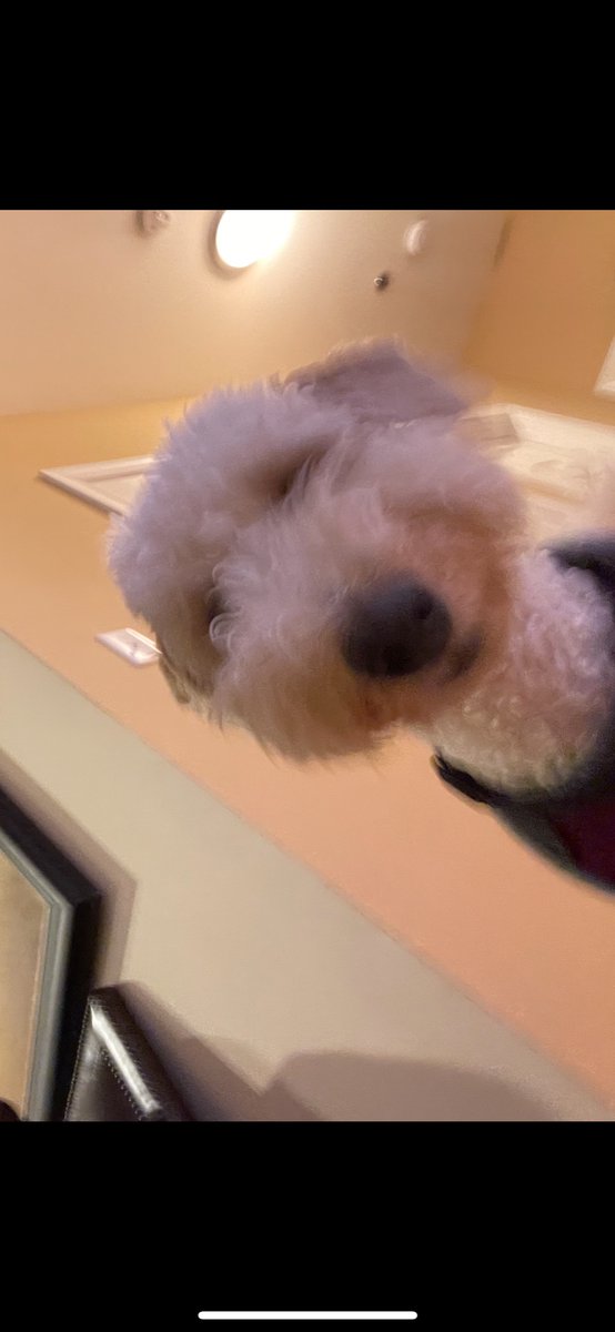 blehyurp's tweet photo. boi 🥴😩😨 https://t.co/h9e5BjcmSa