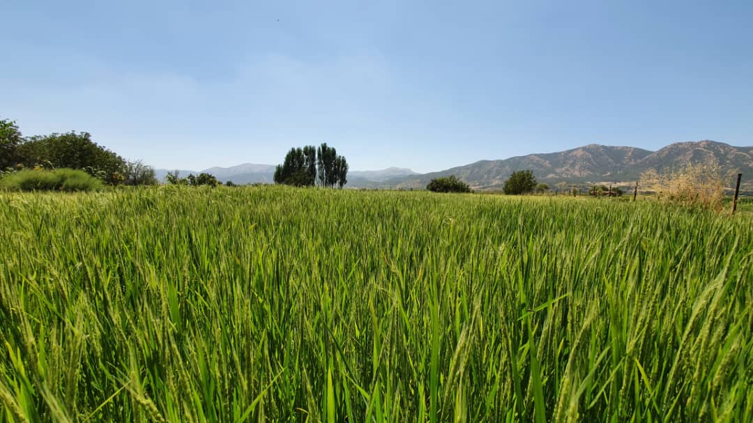 Gm frens🤩
#NFTs #NFT #NFTCommunity #NFTartist #NFTCollection