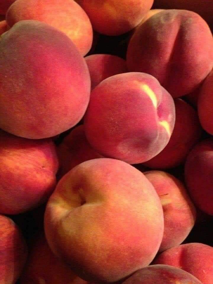 IsmailShimo's tweet image. و أنا قاعد مع نفسى إكتشفت حاجه غريبه جدا هو إزاي الخوخ فاكهه صيفي مع إنه لابس شمواه 🤔🤔