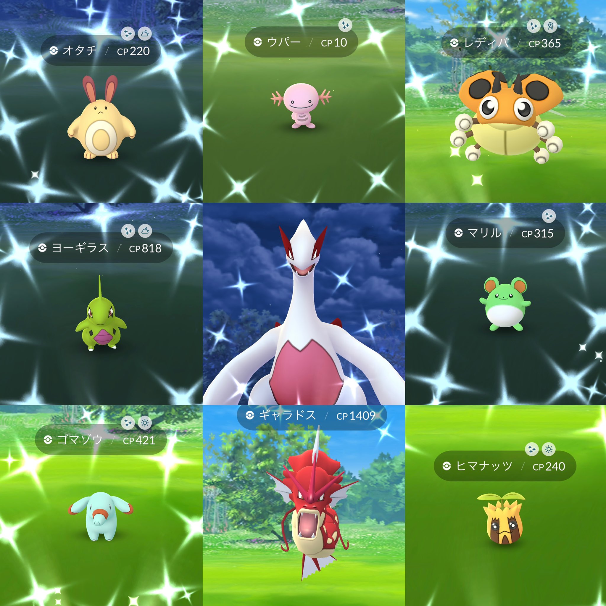 みい ぽけgo Miyii Poke Twitter
