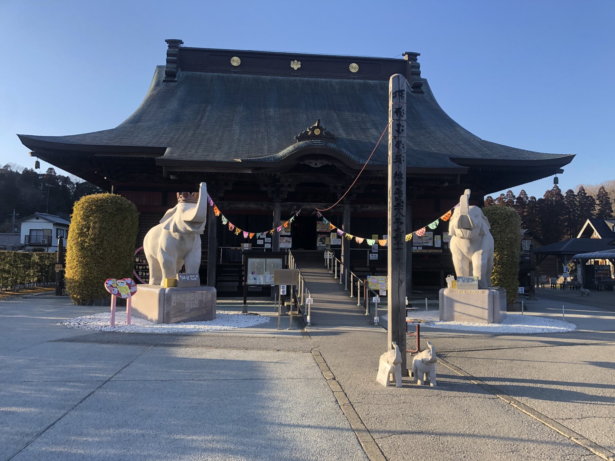 長福寿寺 金運アップの吉ゾウくん 公式 Chofukujuji Pr Twitter