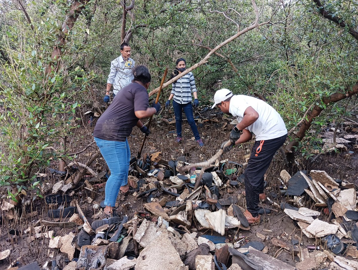 dharmeshbarai's tweet photo. Week 80 #MangrovesCleanupDrive
Back to back Sunday
Hundreds of tubelight recovered from the mangroves.
Why throw Tubelight inside the mangroves?
Request to Civic authority pls take this issue forward & resolved by appropriate action& awareness @MangroveForest @anandmahindra https://t.co/H5uWj1X71l