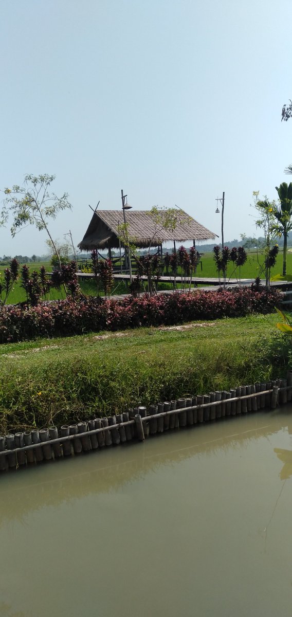 Small cafe in Chiangrai,Here it's close to the nature.
