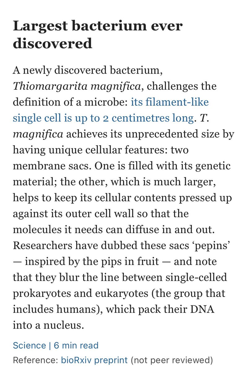 Biology1802's tweet photo. #ملتقى_علوم_الاحياء
مبروك تم اكتشاف اكبر بكتيريا على الاطلاق 
Thiomargarita magnifica و يتعدى طولها ال ٢ سم https://t.co/nwSGUh0sOm