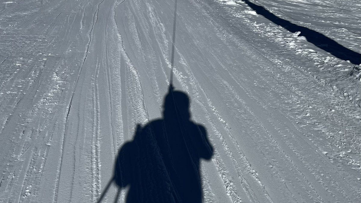 Alles Marionetten hier.