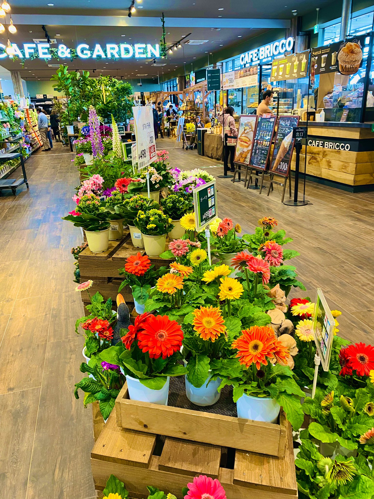 カインズホーム新座店 Twitter Search Twitter