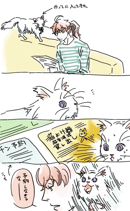 猫マーリンと 