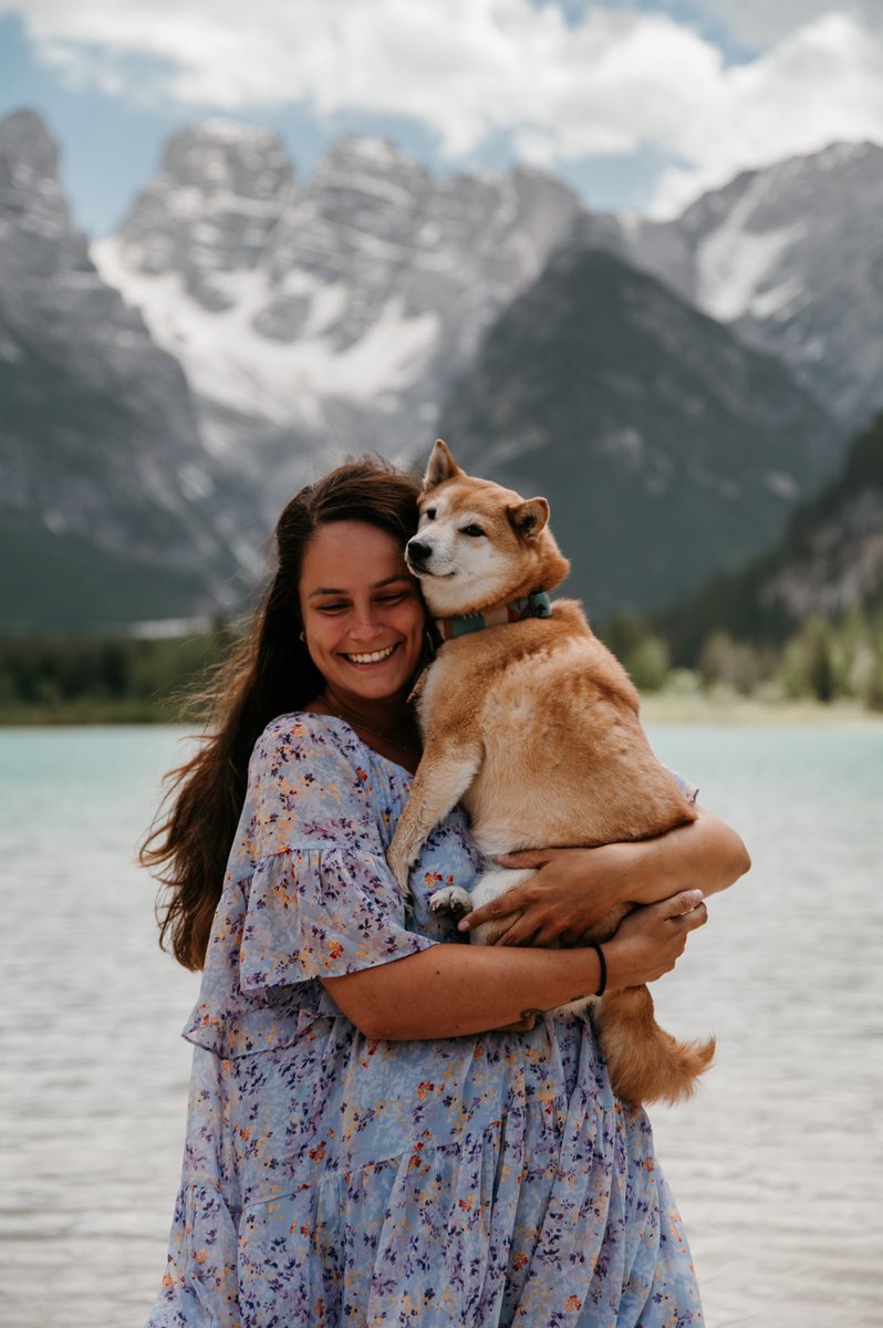 wildwithnoa tweet media