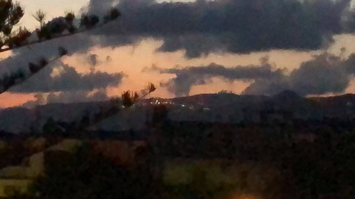 Pasquale Arpaia tweet media