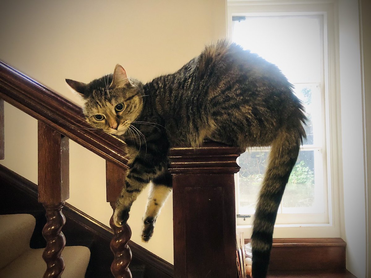 Ricky Gervais tweet media