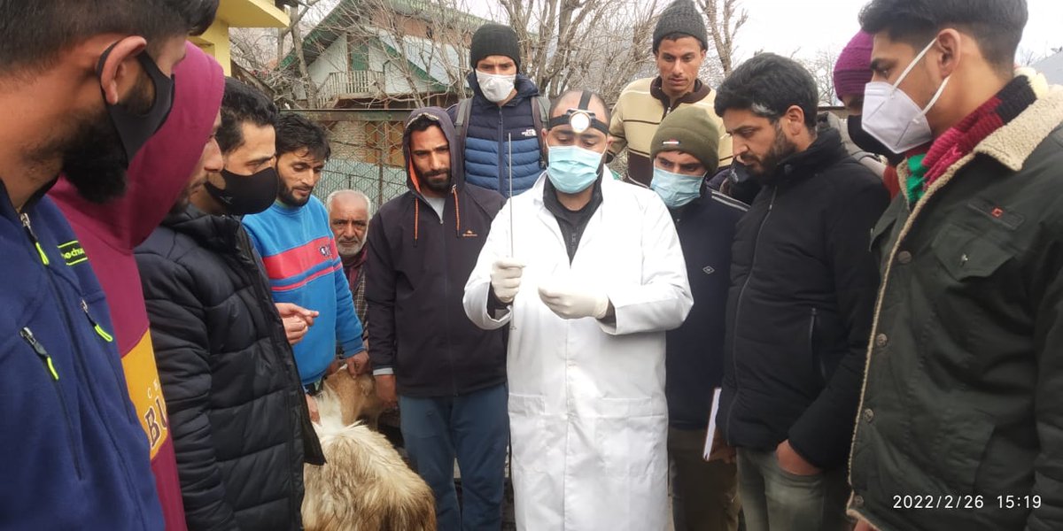 Dsho_bandipora's tweet photo. #Basic_Vety_Healthcare_Services
Capacity Building Program of Tribal Youth of Cluster Model Village Sumlar, Kudara &amp; Shokbaba under CSS-SCA to TSP in progress at Kunan Bpr.
@listenshahid 
@owais_ias 
@dcbandipora 
@dicbandipora 
@diprjk 
@Bandiporadesk 
@KashConvener 
@PIBSrinagar https://t.co/zlSbf7755i