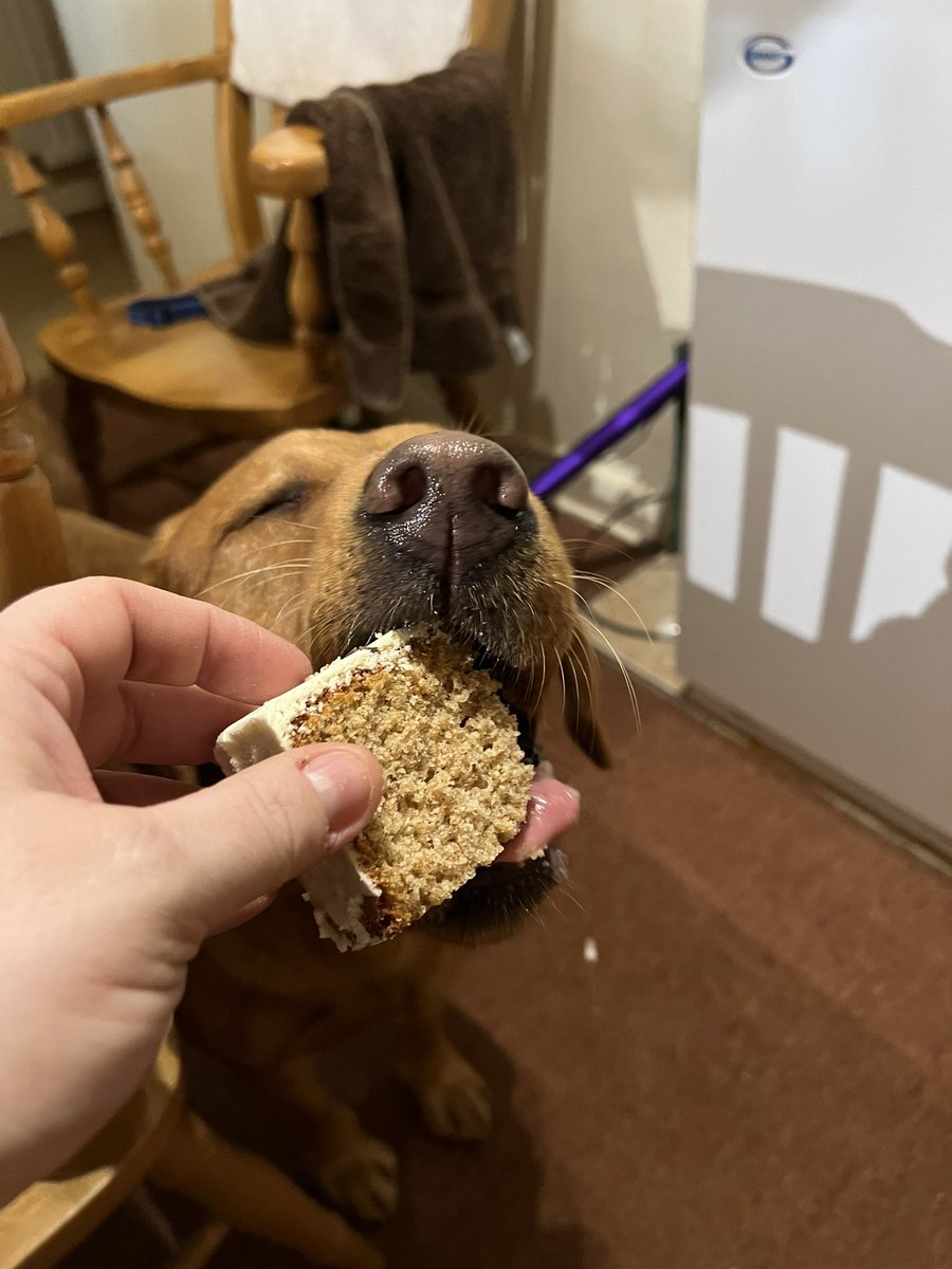 🧡Lushlabs🧡 tweet media