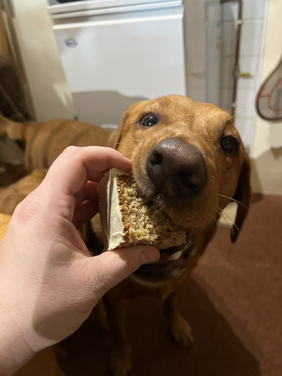 🧡Lushlabs🧡 tweet media