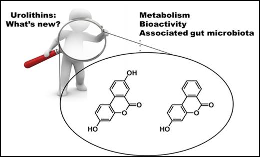 Food_Health_LAB's tweet photo. Have you read our latest review about urolithins? There are more and more but none with so much love since we have known each other for 20 years 😊. 
A Comprehensive Update on their Metabolism, Bioactivity, and Associated gut microbiota @CEBAS_CSIC 
https://t.co/DmCzW6Xv09 https://t.co/7ax3vj67Rq