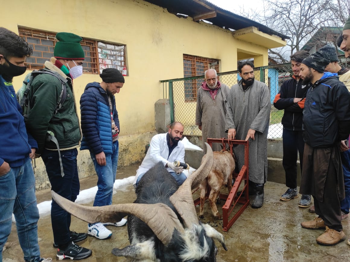 Dsho_bandipora's tweet photo. #Basic_Vety_Healthcare_Services
Capacity Building Program of Tribal Youth of Cluster Model Village Sumlar, Kudara &amp; Shokbaba under CSS-SCA to TSP in progress at Kunan Bpr.
@listenshahid 
@owais_ias 
@dcbandipora 
@dicbandipora 
@diprjk 
@Bandiporadesk 
@KashConvener 
@PIBSrinagar https://t.co/zlSbf7755i