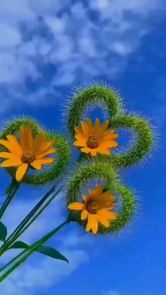 mdamnwr1's tweet photo. @hala33yi صباحك هنا وسعاده حبيبتي https://t.co/s1nnYTMCqF