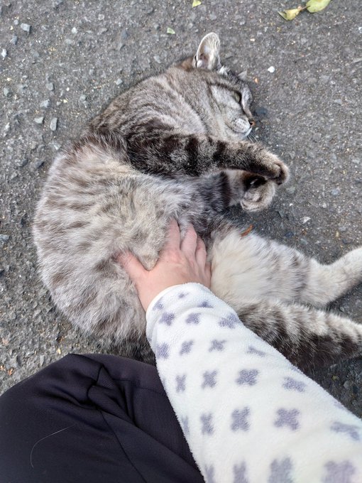 あったかくなってきたねえ～ 