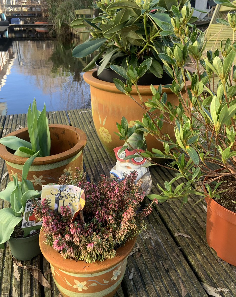 Meiden gingen naar de Bosrand
Plantjes kopen voor de tuin/terras
Komen ze terug met Jan-Jaap

Ik ben verliefd