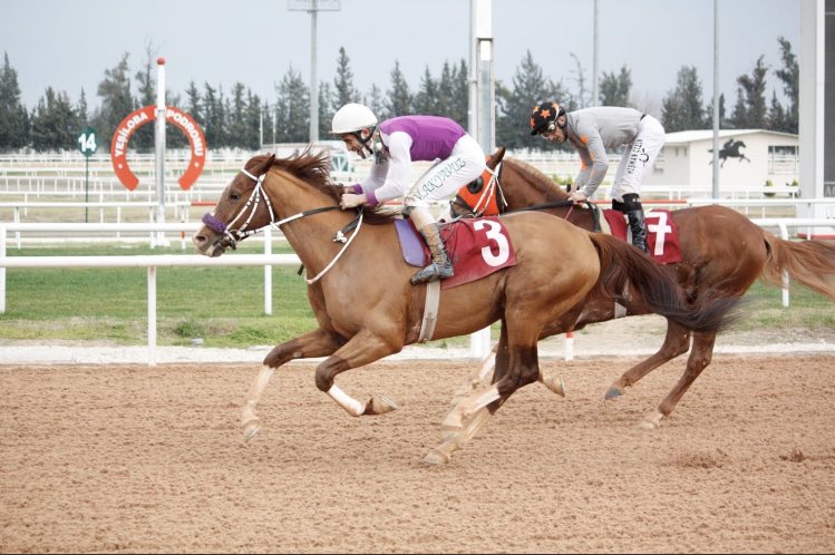 Şampiyon Bayemir(Kaizbert-Yelhanım) adana hipodromunda düzenlenen demirkır koşusunu 1200m kum pistte 1.20.89 derecesi ile pist rekoru kırarak jokeyi M.Akyavuz idaresinde kazanmıştır.