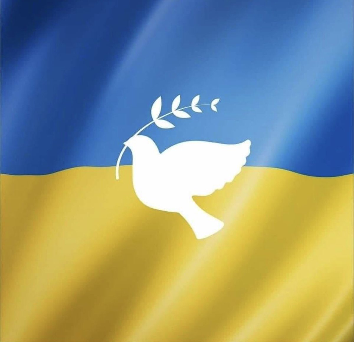 _PBaur's tweet image. 