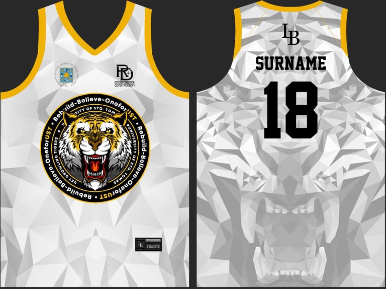 tigers jersey design
