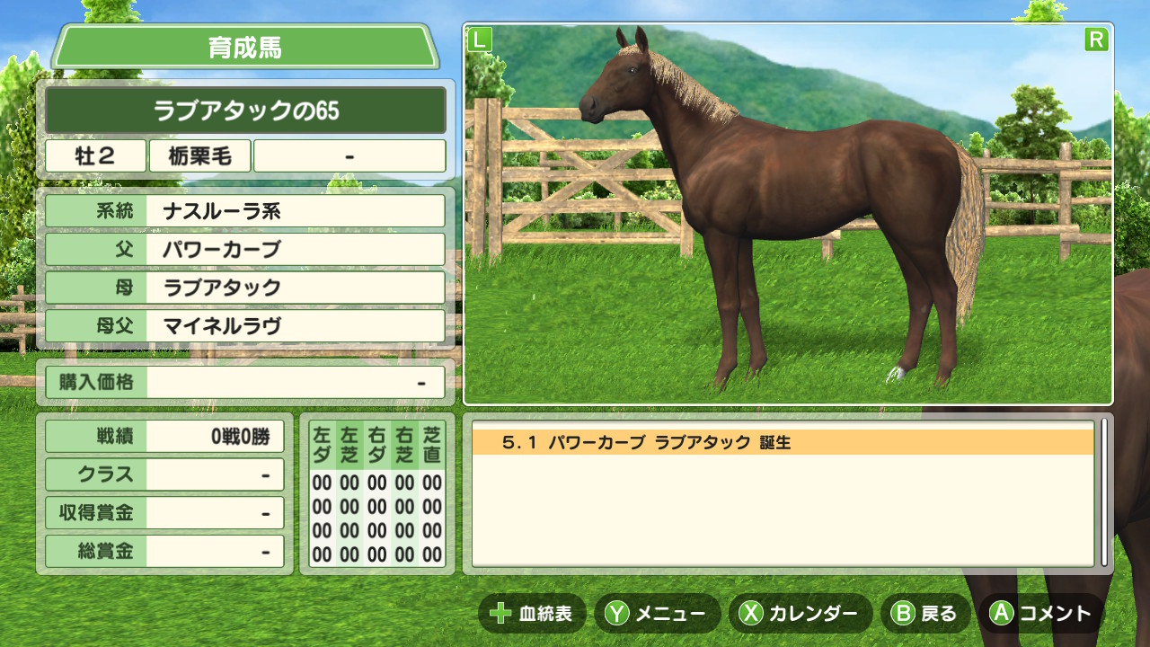 栃栗毛 Marketingagricola Pt