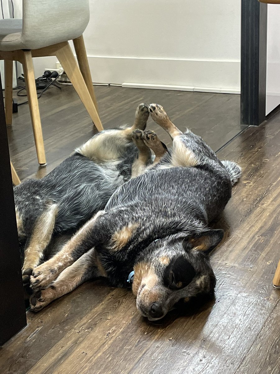 Jane Evans tweet media