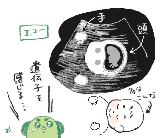 エコー動画のtwitterイラスト検索結果