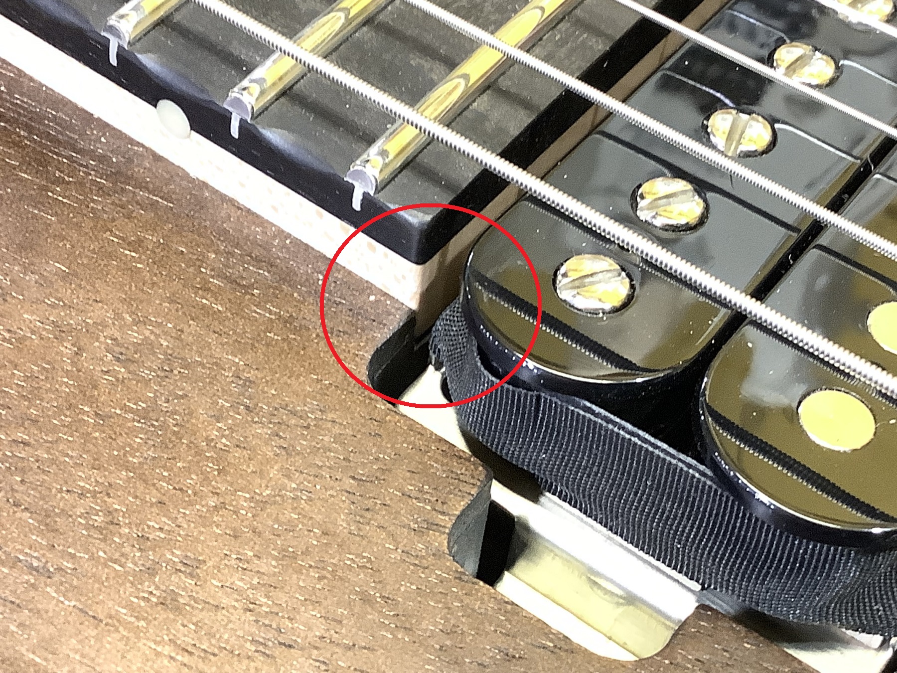 Tokai ALC-50JS BB/R Love Rock Traditional Series John Sykes