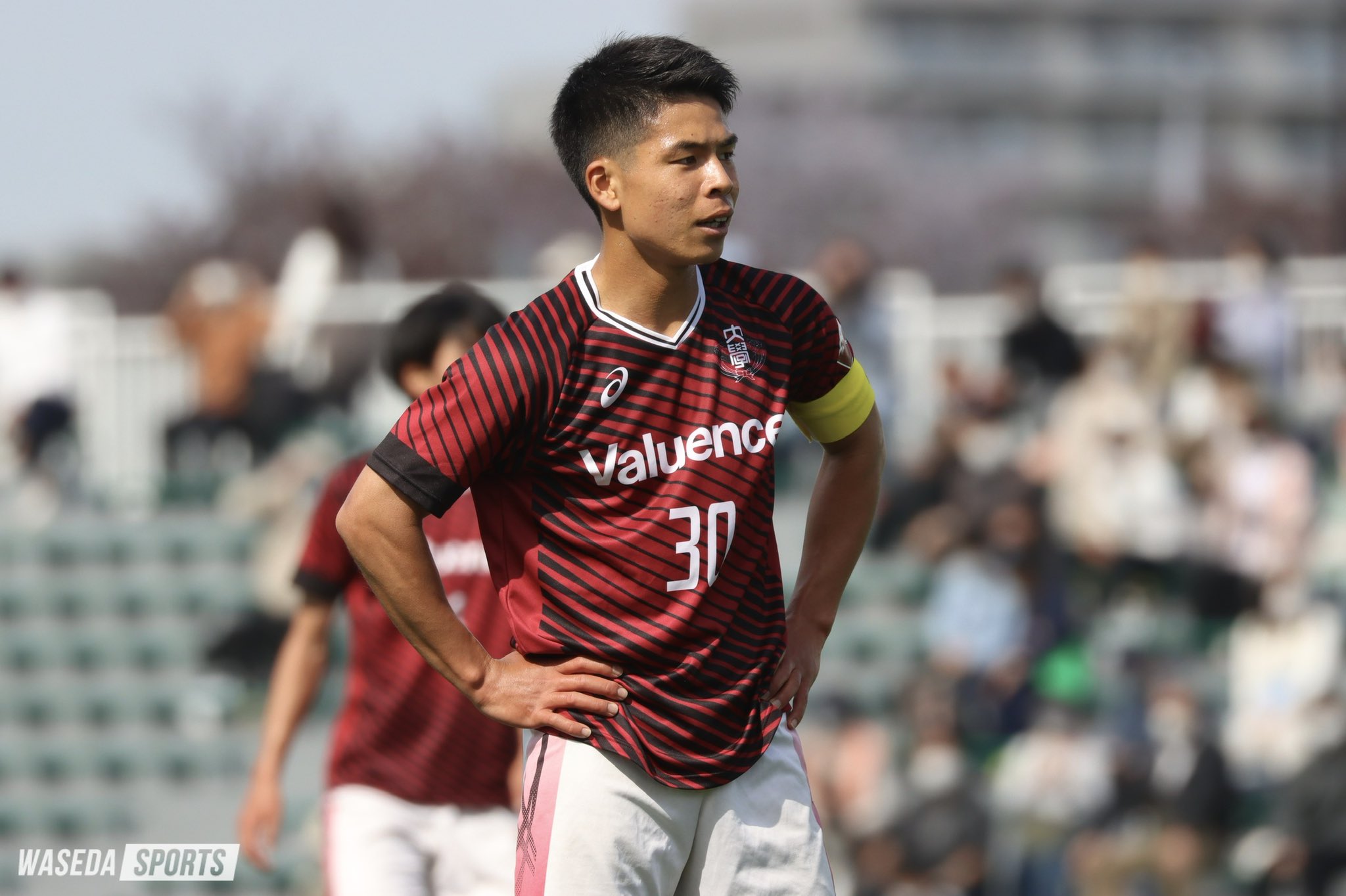 早稲田スポーツ新聞会 on Twitter 