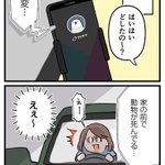 夫から緊急の電話が!？家の前に意外な動物が死んでいた!