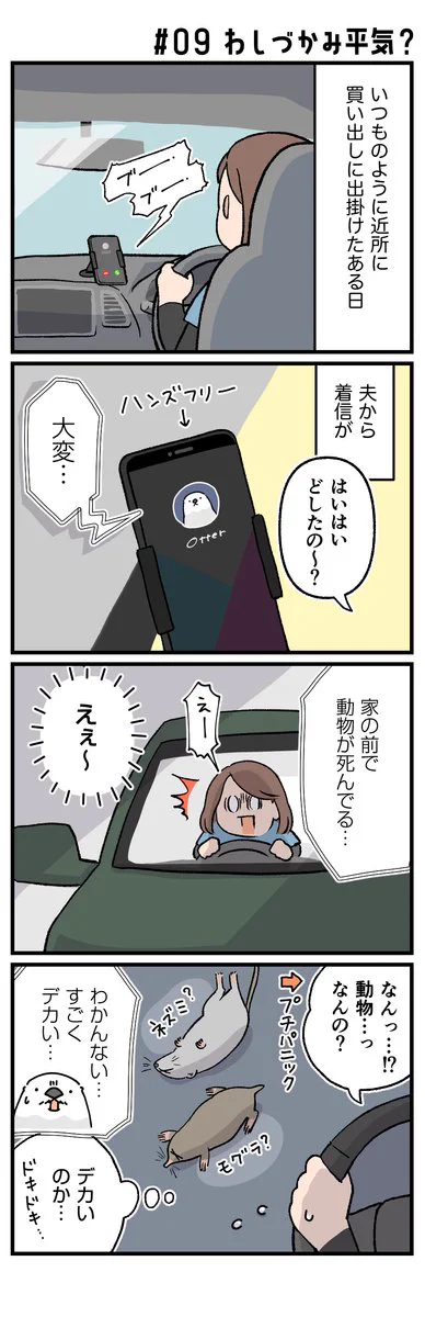 夫から緊急の電話が！？家の前に意外な動物が死んでいた！