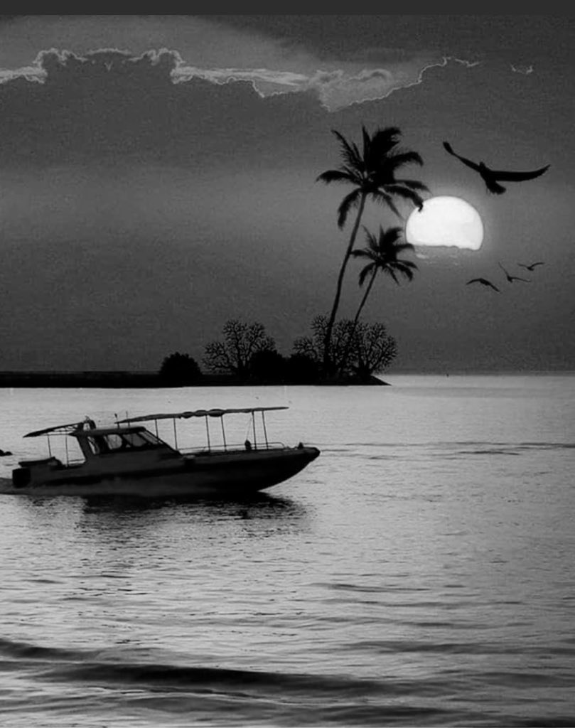 رغم الرحيل
 رغم ما فعلت بنا الأيام
قلبي لم يزل يحيى وحيداً بالأمل