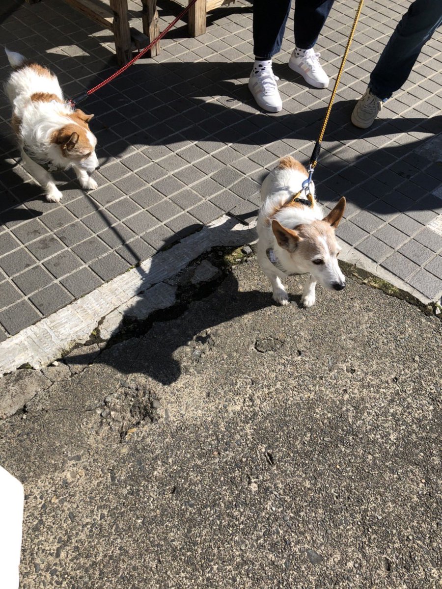 袋田の滝のtwitterリアルタイム検索結果 Meyou ミーユー