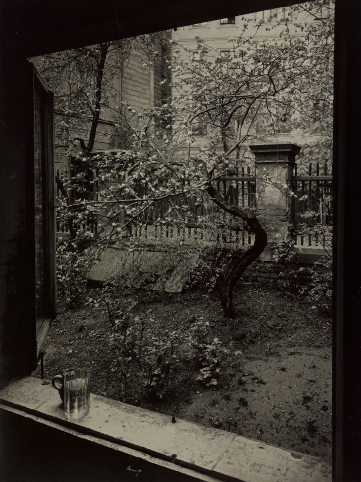 LaPeliculera's tweet photo. «Cuando empecé a fotografiar mi ventana descubrí que a menudo, algo pasaba debajo de ella y me interesaba [...] un ramo de flores, una piedra, que en un instante se separaba de la naturaleza muerta para formar una imagen independiente.»

Josef Sudek https://t.co/5UOd2yN4mI