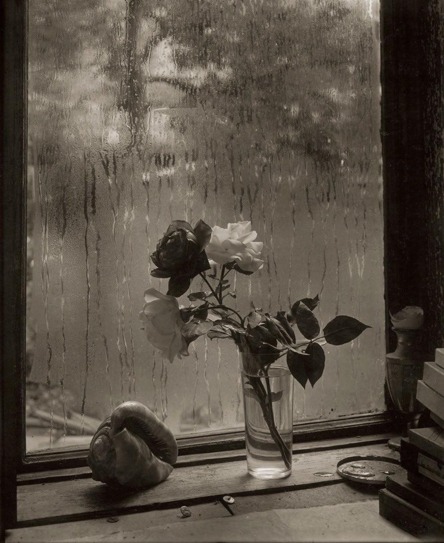 LaPeliculera's tweet photo. «Cuando empecé a fotografiar mi ventana descubrí que a menudo, algo pasaba debajo de ella y me interesaba [...] un ramo de flores, una piedra, que en un instante se separaba de la naturaleza muerta para formar una imagen independiente.»

Josef Sudek https://t.co/5UOd2yN4mI