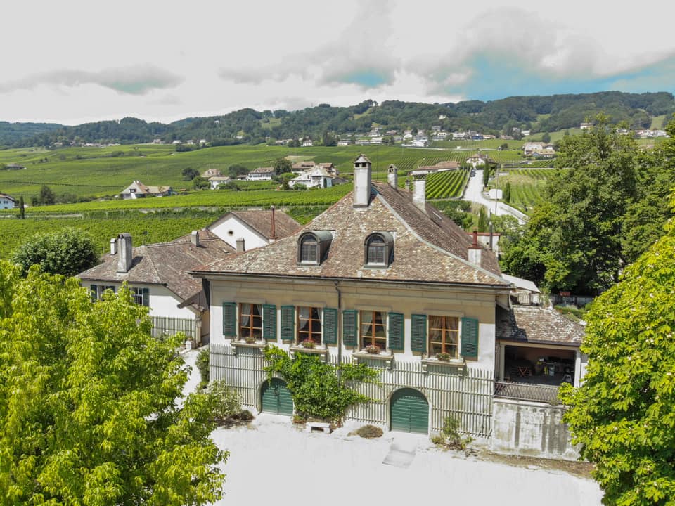 Suisse : les Domaines des Revents et de Montbenay mettent à l'honneur l'AOC Mont sur Rolle en choisissant de proposer leurs programmes de parrainage de pieds de vignes Covigneron. Une bien belle idée cadeau pour leurs futurs ambassadeurs !