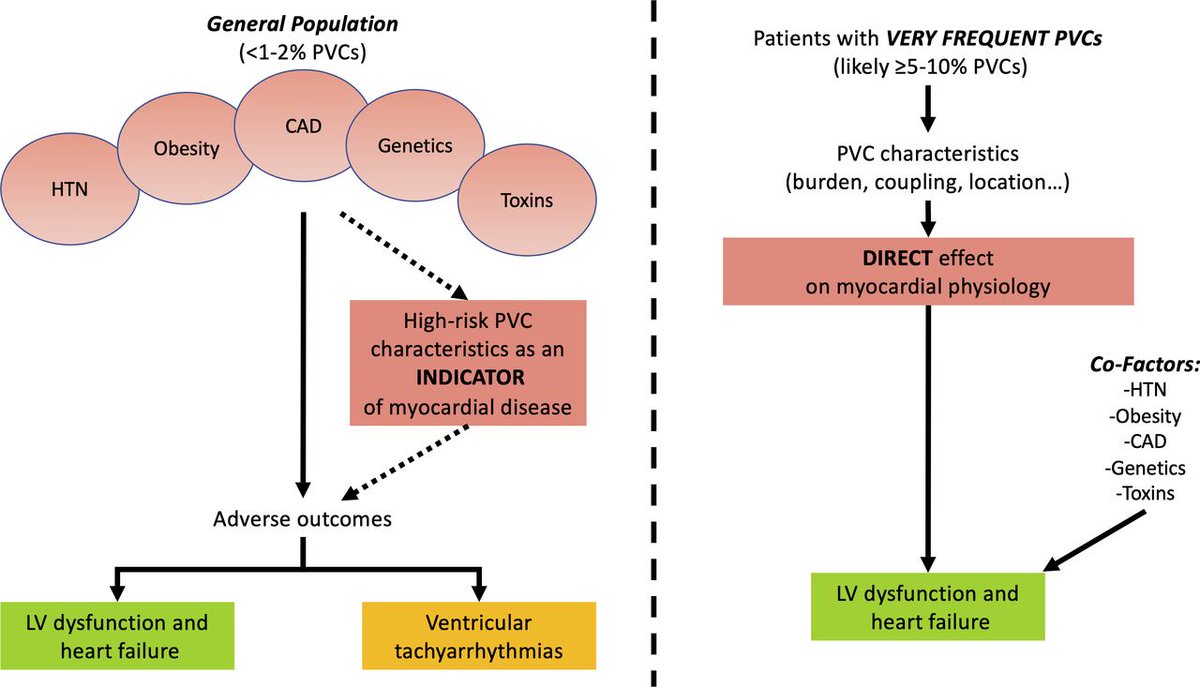 Odd couple: premature ventricular contractions and heart failure
bit.ly/34ikKOV