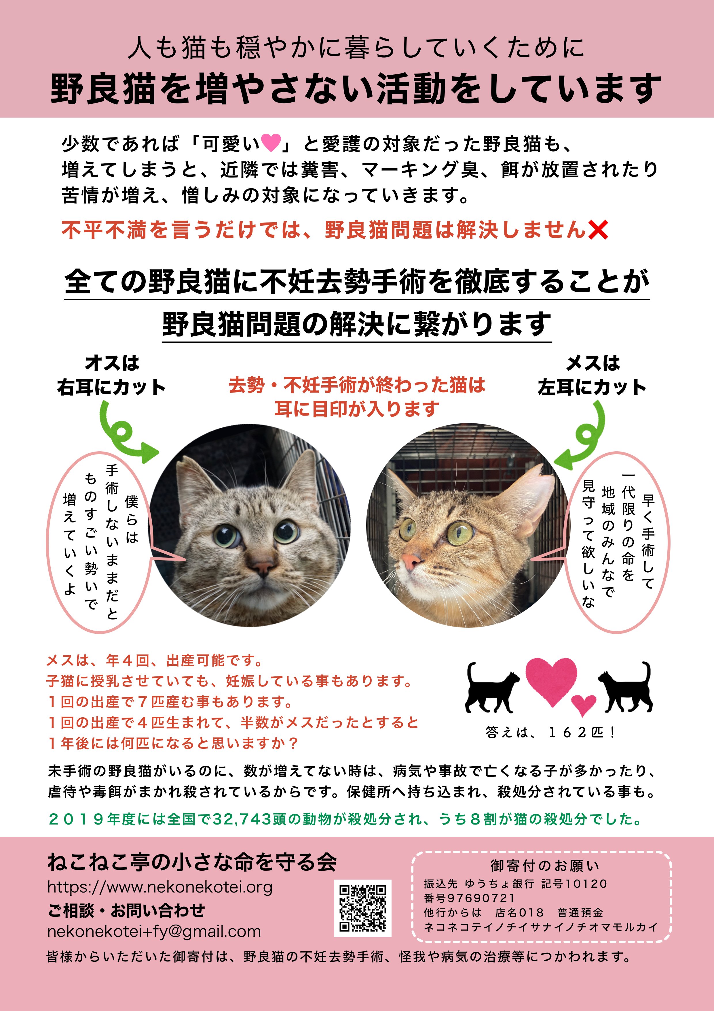 ねこねこ亭の小さな命を守る会 うちは訳あり保護猫のみ 本気の里親募集中 野良猫の不妊 去勢手術キャンペーン実施中 不妊手術 去勢手術 どちらも１匹 １口１０００円 でｏｋだよ 詳しくは T Co 5mqvmx6lsc このキャンペーンは 皆様