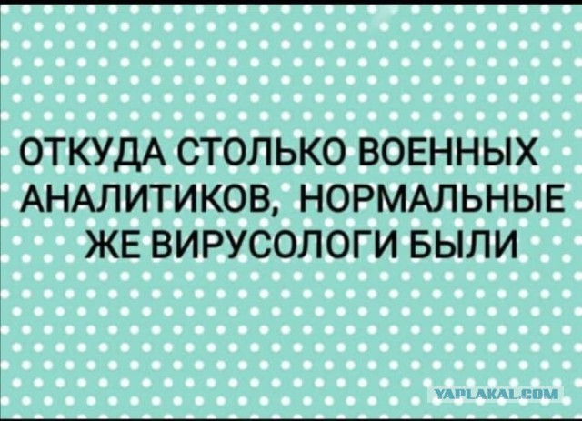 kolydka2 tweet picture