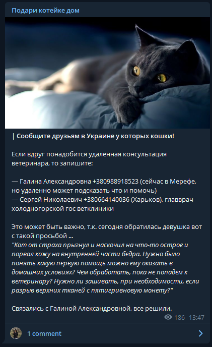 bowietiee's tweet image. ❗️❗️❗️ РТ ❗️❗️❗️

я пока еще не видела полезных постов о дистанционной помощи домашним животным поэтому помогите пожалуйста распространить